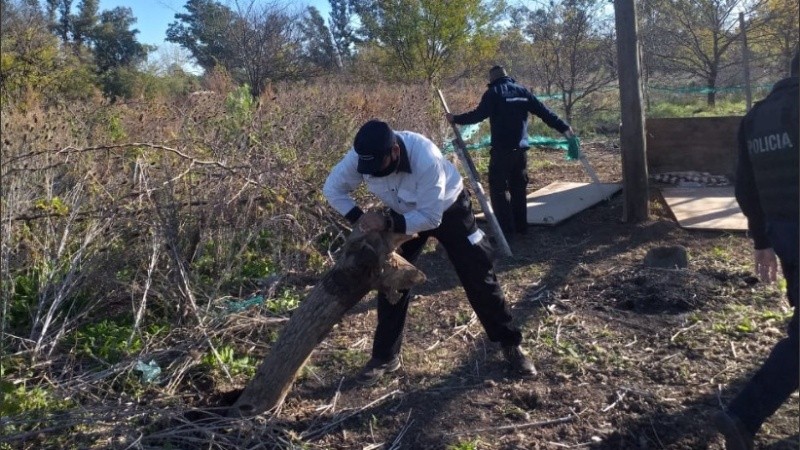 La Policía y Control Urbano acudieron ante llamados de vecinos.