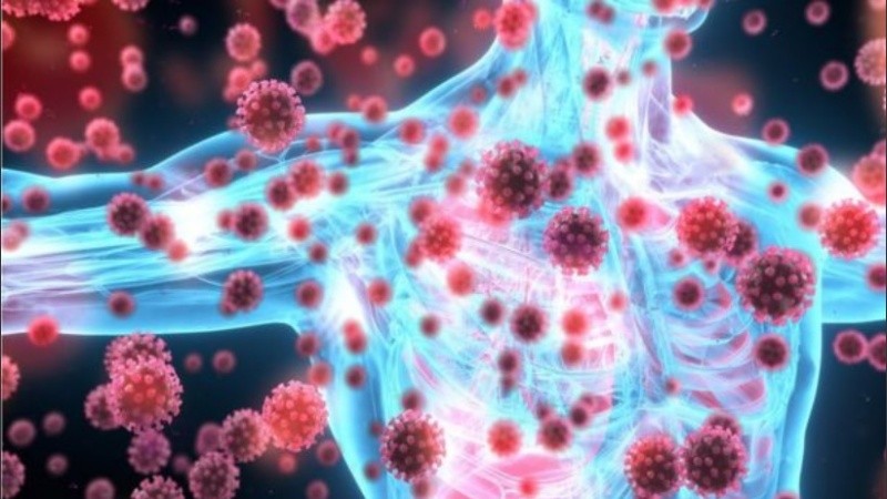 El SARS-CoV-2 pertenece a la familia de los coronavirus.