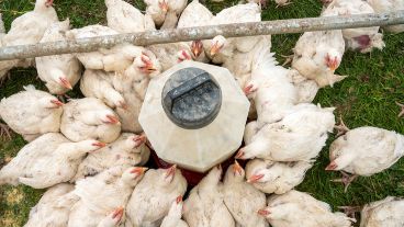 Esta hipotética enfermedad representaría un riesgo aún mayor que el covid-19.