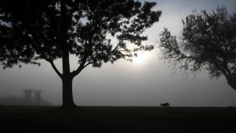 No se veía nada: postales desde la costa rosarina este martes por la mañana. 