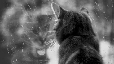 En algunas zonas se esperan valores de precipitación acumulada entre 60 y 100 milímetros.