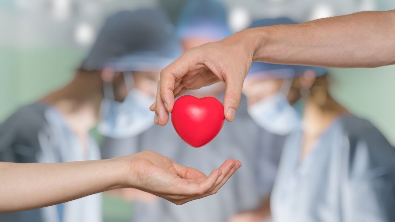 Un solo donante de órganos puede salvar hasta 8 vidas, y uno de tejidos puede ayudar hasta a 75 personas.