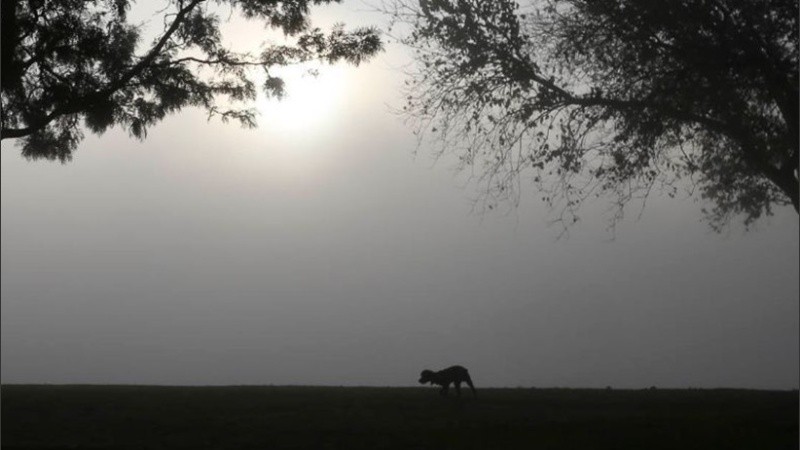 El SMN anuncia visibilidad reducida para domingo y lunes.