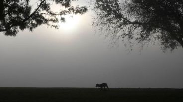 El SMN anuncia visibilidad reducida para domingo y lunes.