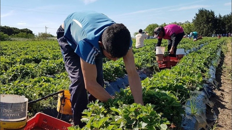 El intendente dijo que sin los trabajadores chaqueños se perderá una parte de la producción.