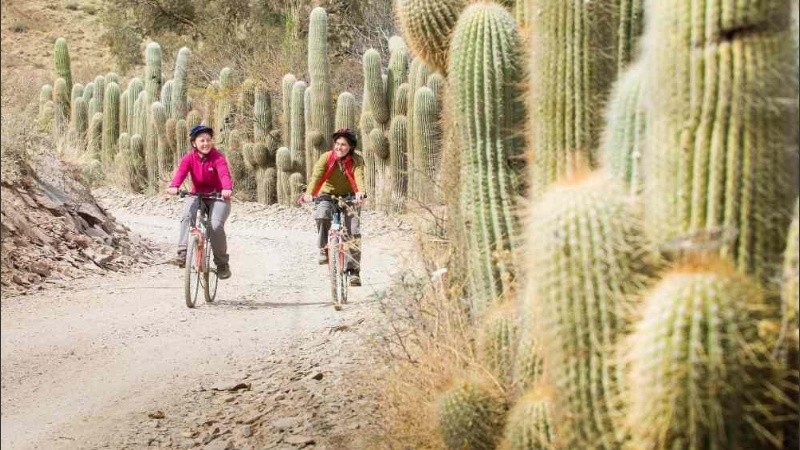 Los salteños no podrán utilizar el servicio de transporte de pasajeros.