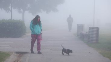 Niebla y humo, humo y niebla.
