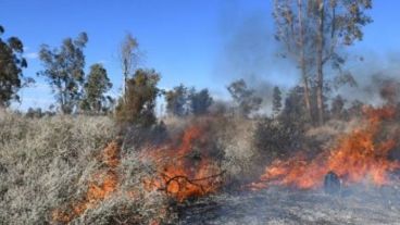 Los culpables no fueron hallados por los agentes de seguridad.