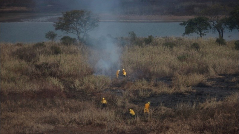 Las quemas de pastizales se multiplican en las islas.