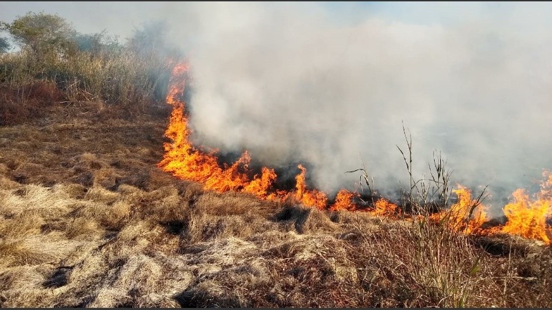 Sólo el domingo hubo más de 380 focos de incendio.