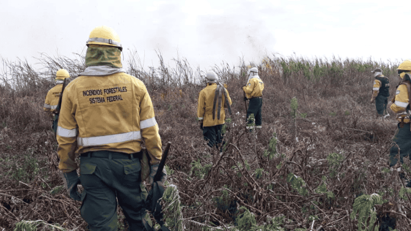 Los brigadistas trabajaron para apagar el fuego en las islas frente a Rosario.