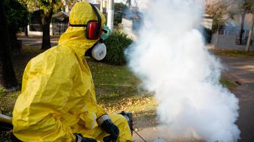 Pasinato: “Calor y humedad, cóctel ideal para el mosquito".