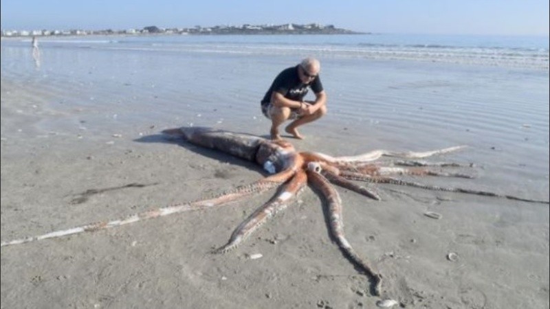 Se desconocen las razones de su muerte.