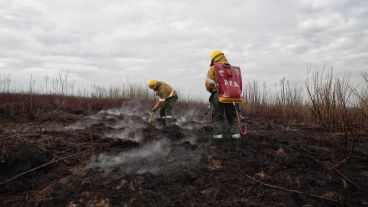 El ministro dijo que vio "un suelo degradado" y "esqueletos de animales".