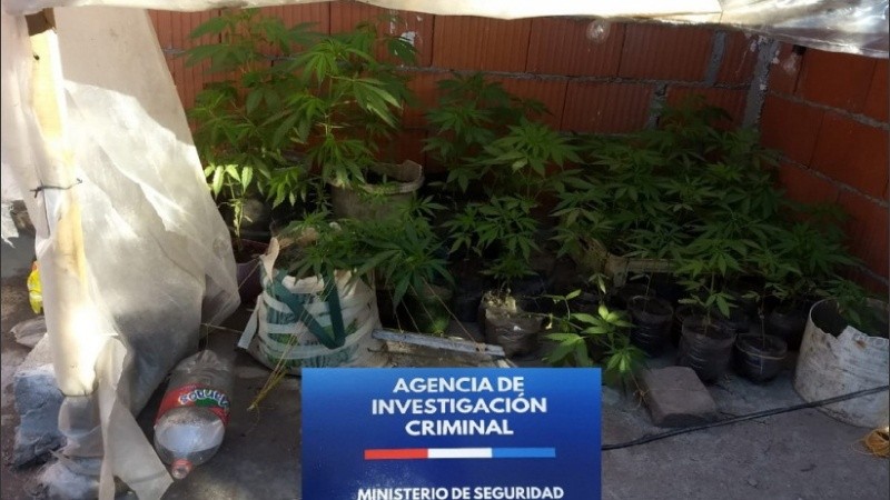 Drogas, armas, dinero y teléfonos entre los elementos incautados.