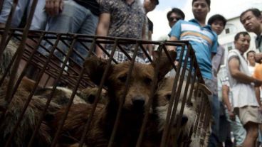 El festival anual de 10 días.