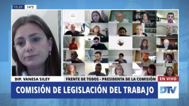 Por videoconferencia, la Comisión de Legislación del Trabajo emitió un dictamen de consenso.