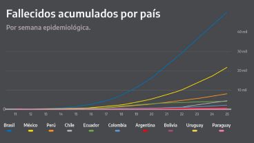 Curvas de fallecidos de países vecinos: Brasil y Chile tienen diez veces más que Argentina.