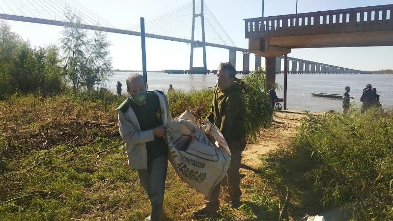 Ambientalistas y voluntarios llevando los árboles de la costa. 