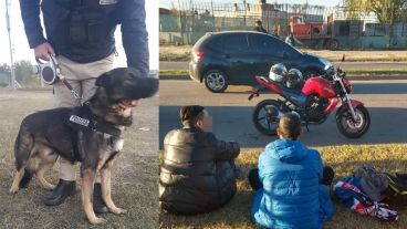 El can detectó la marihuana.