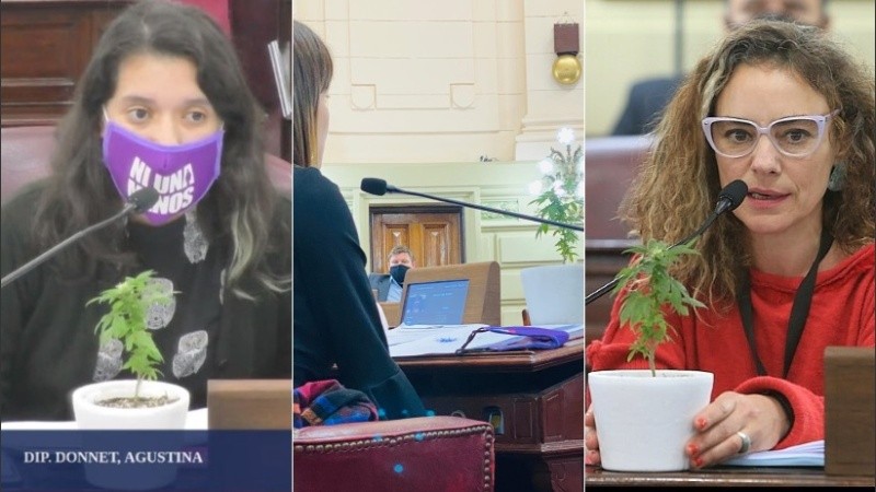 Donnet, De Ponti y Peralta, con sus plantitias de marihuana. 