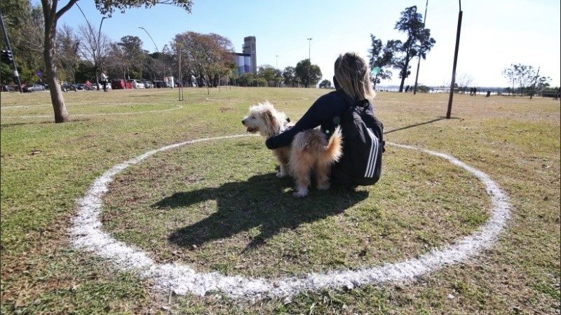 Los círculos para picnics en el parque de las Colectividades. 