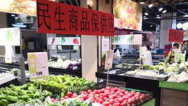 Se impondrán restricciones al comercio y al sacrificio de aves vivas.