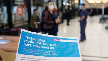 Los anticuerpos del coronavirus.