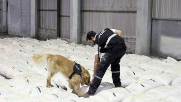 Los operativos se hicieron en Ezeiza, Rosario y en la Ciudad Autónoma de Buenos Aires.
