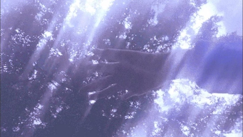 No queda otra que atrapar el sol. 