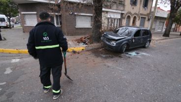 La Muncipalidad tuvo que cortar el árbol.