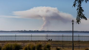 la Justicia Federal dictó dos cautelares muy importantes para la problemática del fuego en las islas.