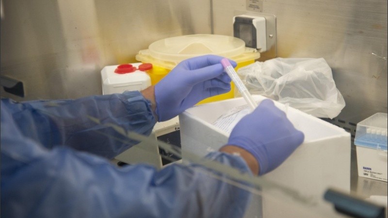 A la fecha, el total de altas es de 65.447 personas.