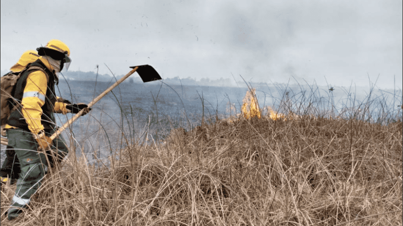 La causa identificó los incendios del 13, 28 y 29 de febrero y 1° de marzo.
