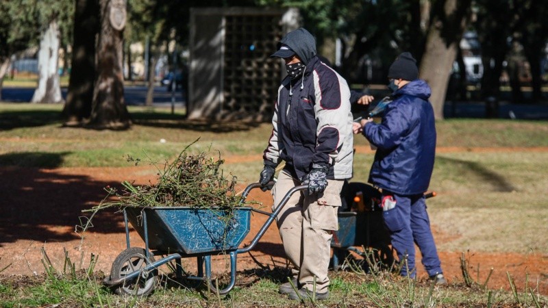 Los trabajos de poda en el Rosedal arrancaron esta semana. 