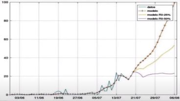 El modelo matemático permite prever el escenario futuro, en base a la lógica del virus, en las últimas semanas.