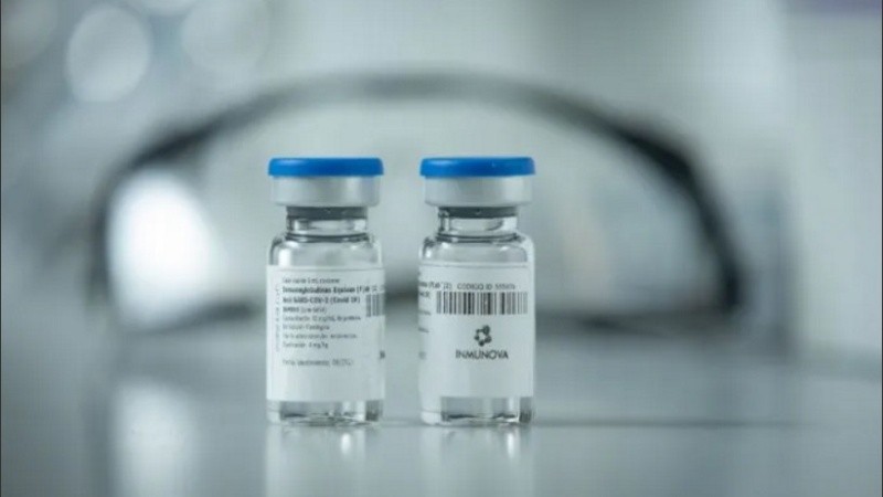 La próxima semana arrancan los ensayos en pacientes con el suero equino anti-covid-19. 