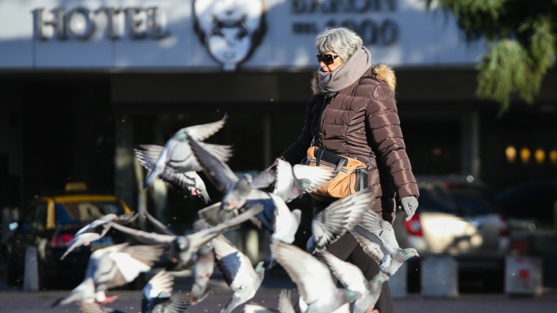 Solcito de invierno en la mañana rosarina. 