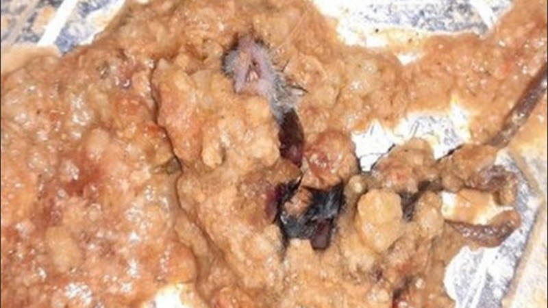 La firma señaló que es la primera vez que tienen un problema de este tipo.