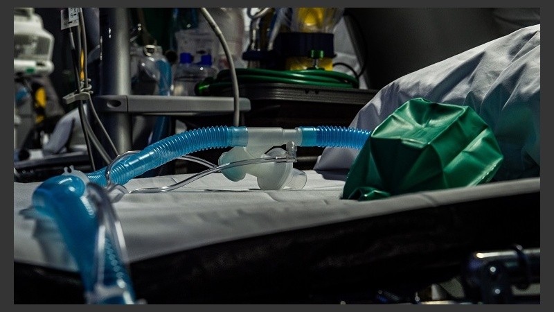 Cremona, The American NGO Samaritan