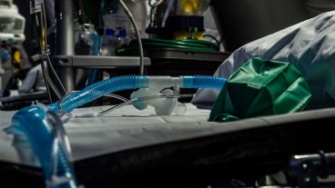 Cremona, The American NGO Samaritan