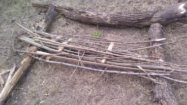 Para el gobierno provincial, las imágenes representan una “evidencia de la intencionalidad”.