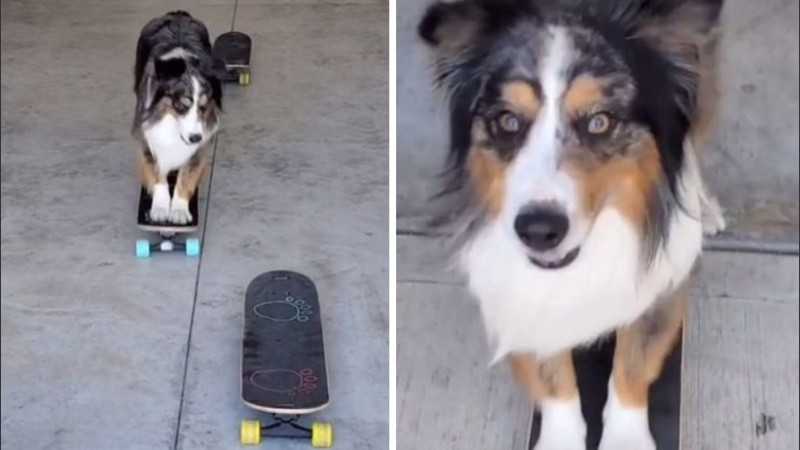 El post tuvo más de 19000 me gusta y casi 500 comentarios.