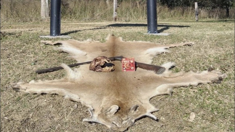 Los elementos secuestrados en la isla.