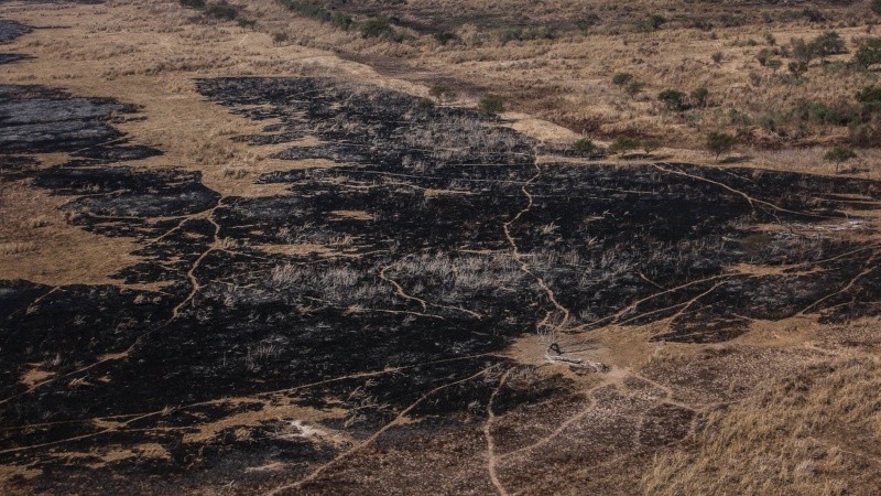 Desde el aire se pueden ver grandes manchones negros producto de los incedios. 