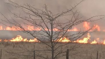Algunos focos alcanzaron incluso árboles a la vera de la ruta.