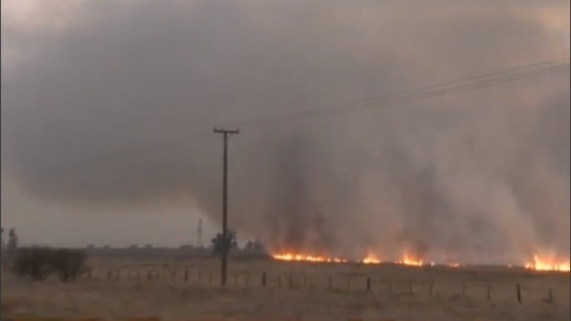 Algunos focos alcanzaron incluso árboles a la vera de la ruta. 