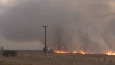 Algunos focos alcanzaron incluso árboles a la vera de la ruta.