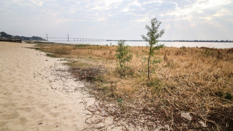 Así se encuentra la rambla Catalunya debido a la bajante del río Paraná. La altura de este miércoles era de 0.61 metros. 