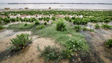 Así se encuentra la rambla Catalunya debido a la bajante del río Paraná. La altura de este miércoles era de 0.61 metros.